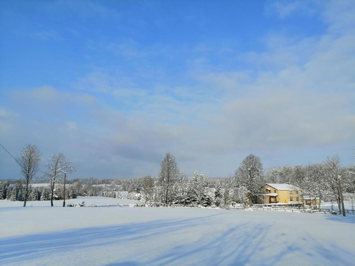 Villa Holma *** Agroturystyka Zbychowo Exterior photo